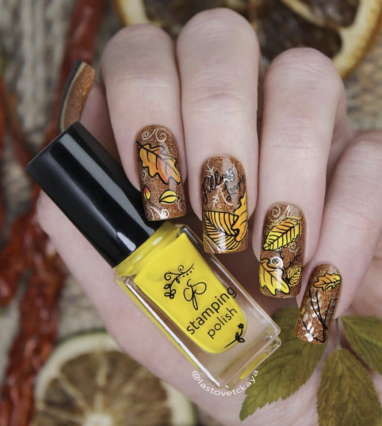 Forever Autumn (CjS-86) Steel Nail Art Stamping Plate 14 x 9 Clear Jelly Stamper