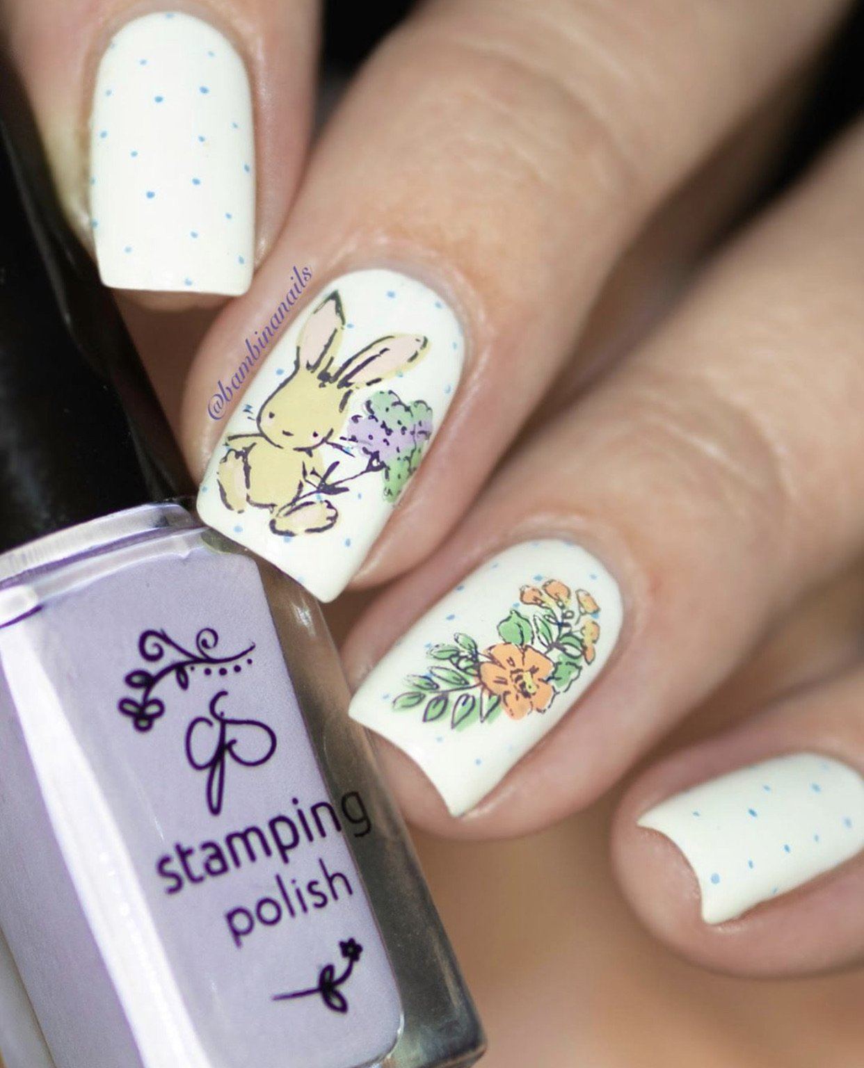 Life in Bloom (CjS-97) Steel Nail Art Stamping Plate 14 x 9 Clear Jelly Stamper