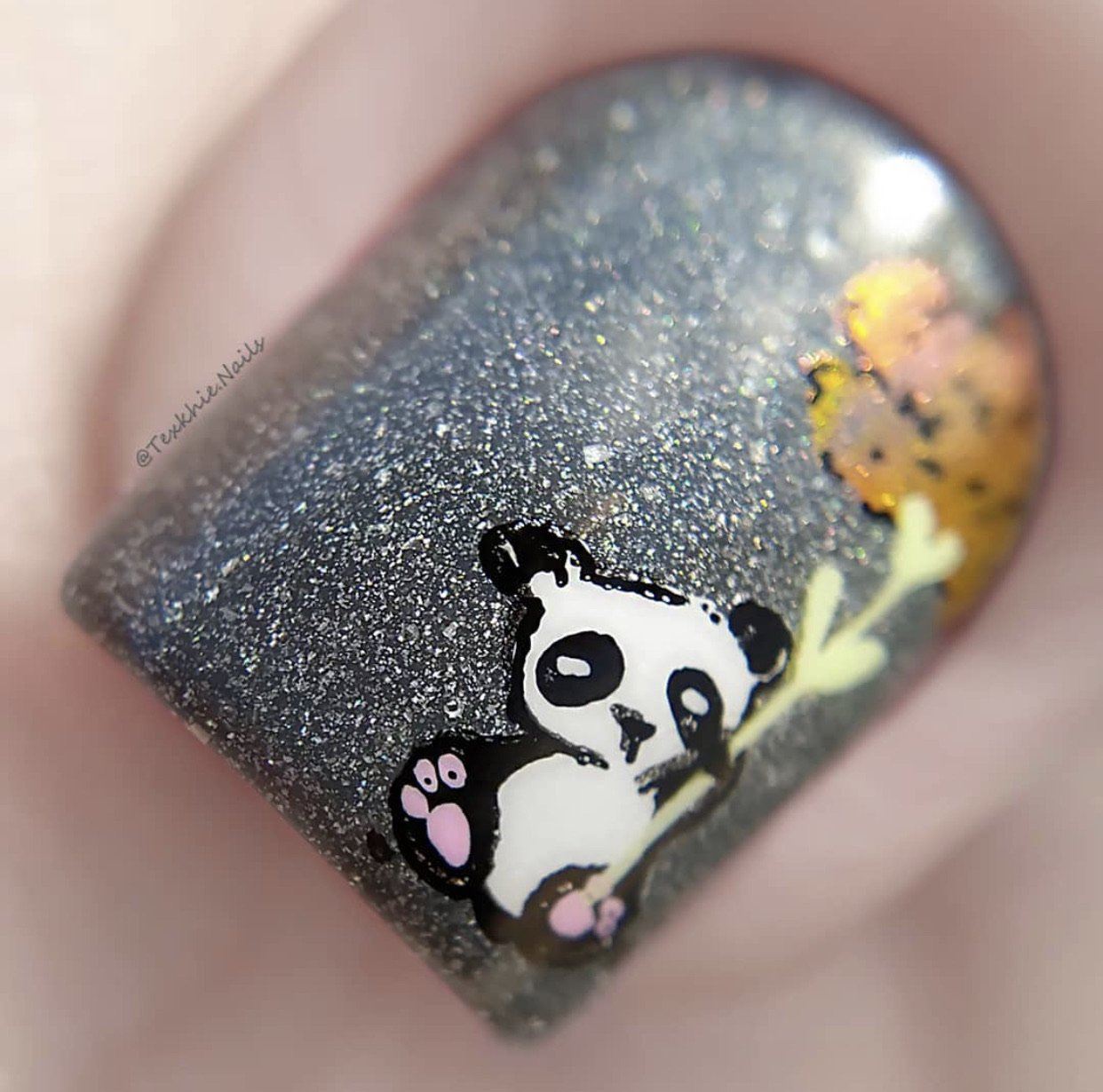 Life in Bloom (CjS-97) Steel Nail Art Stamping Plate 14 x 9 Clear Jelly Stamper