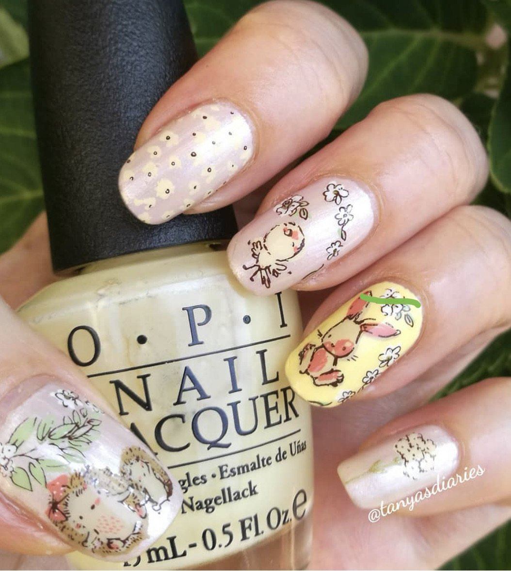 Life in Bloom (CjS-97) Steel Nail Art Stamping Plate 14 x 9 Clear Jelly Stamper