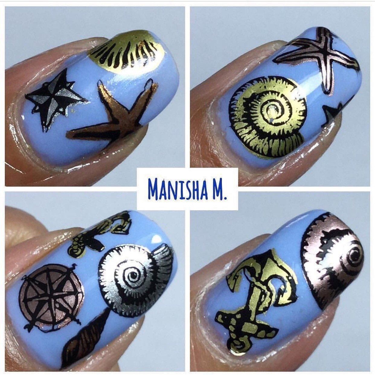 Treasures of the Sea (CjSLC-11) - Steel Nail Art Stamping Plate 14 x 9 Clear Jelly Stamper