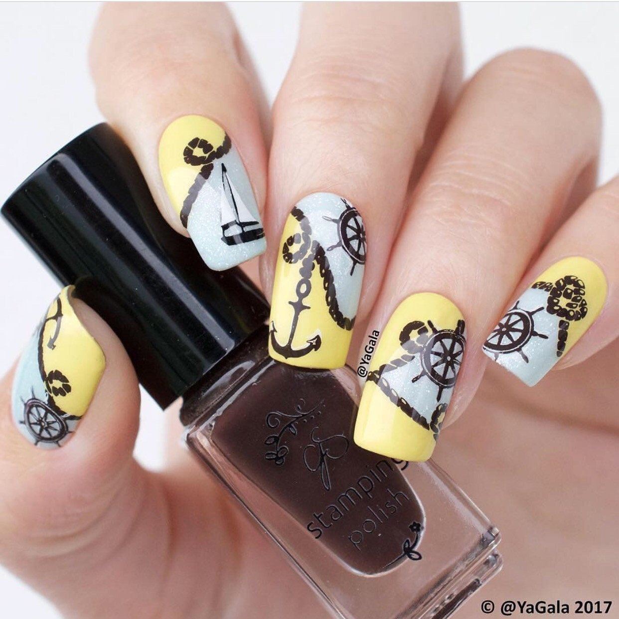 Treasures of the Sea (CjSLC-11) - Steel Nail Art Stamping Plate 14 x 9 Clear Jelly Stamper