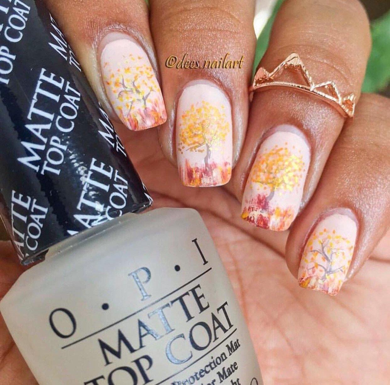 Trees Trees Trees (CjS-27) - Steel Nail Art Stamping Plate 6x6 Clear Jelly Stamper