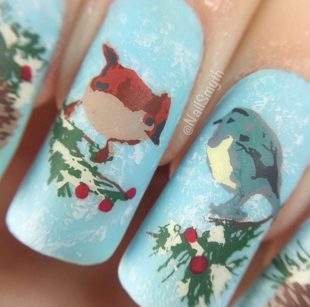 Itty Bitty Birds (CjS-30) - Steel Nail Art Stamping Plate 6x6 Clear Jelly Stamper