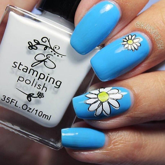 SunShine (CjS-35) - Steel Nail Art Stamping Plate 6x6 Clear Jelly Stamper