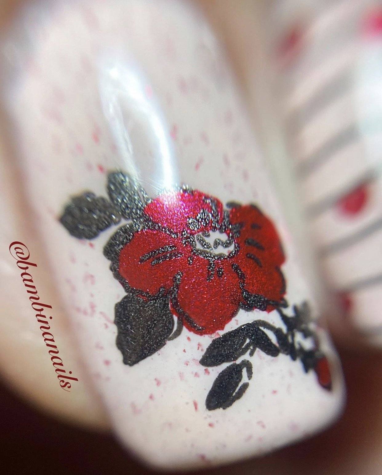 Life in Bloom (CjS-97) Steel Nail Art Stamping Plate 14 x 9 Clear Jelly Stamper