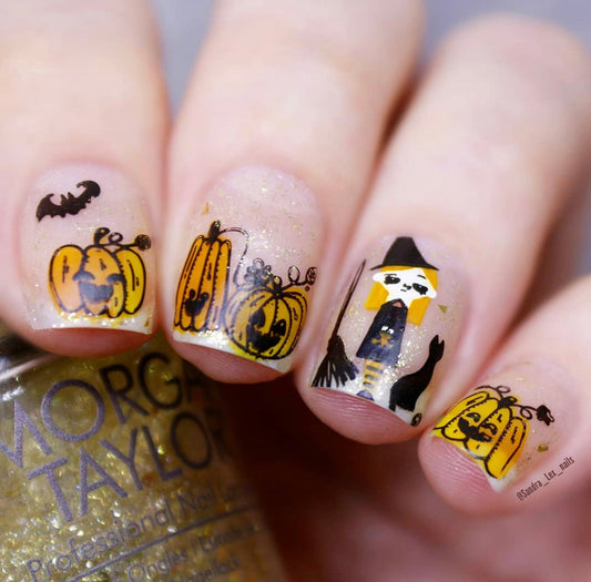 Trick or Creeping (CjSH-42) Steel Stamping Plate 14 x 9 Clear Jelly Stamper