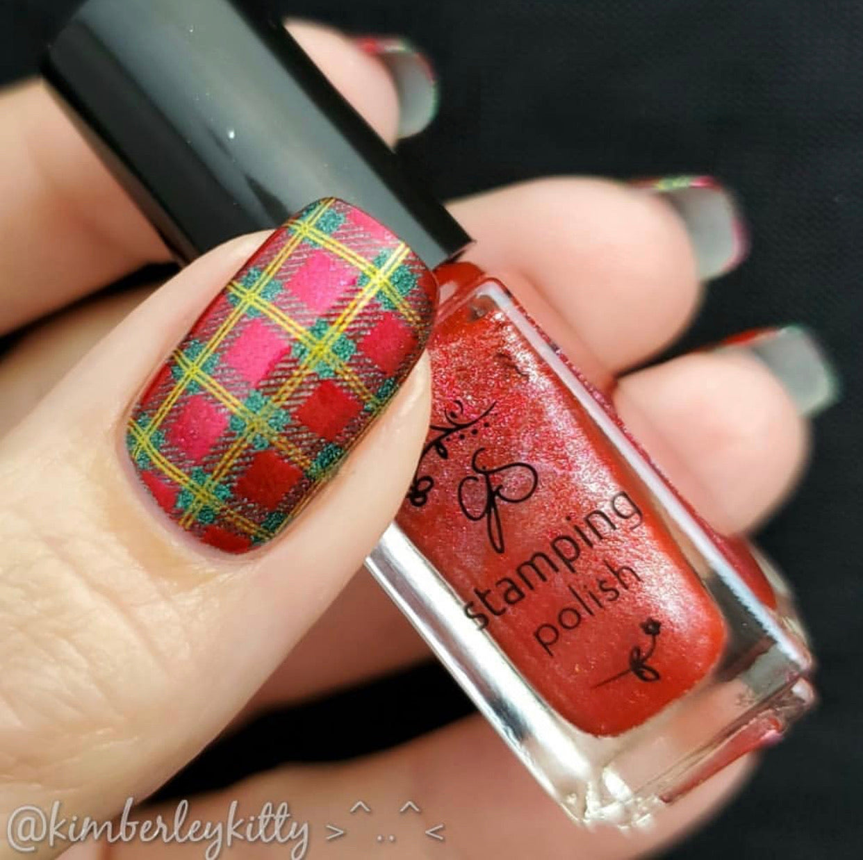 Pick of the Patch (CjS LC-56) Steel Stamping Plate 14 x 9 Clear Jelly Stamper