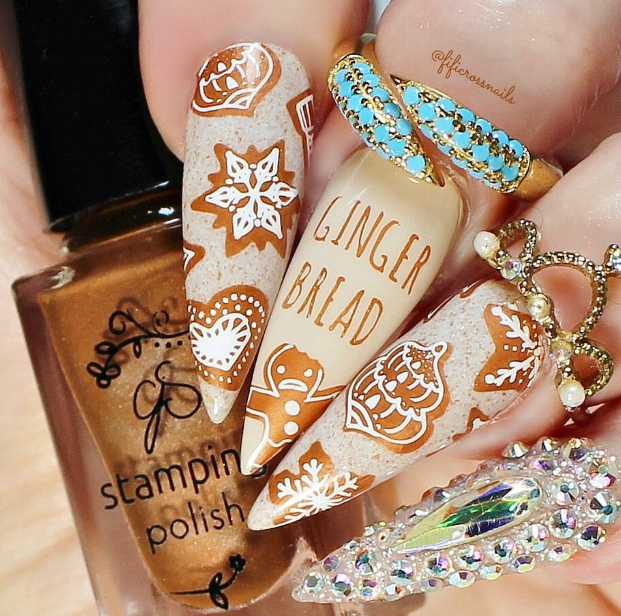 Mmm...Cookies! (CjS C-36) Steel Nail Art Stamping Plate 8 x 8 Clear Jelly Stamper