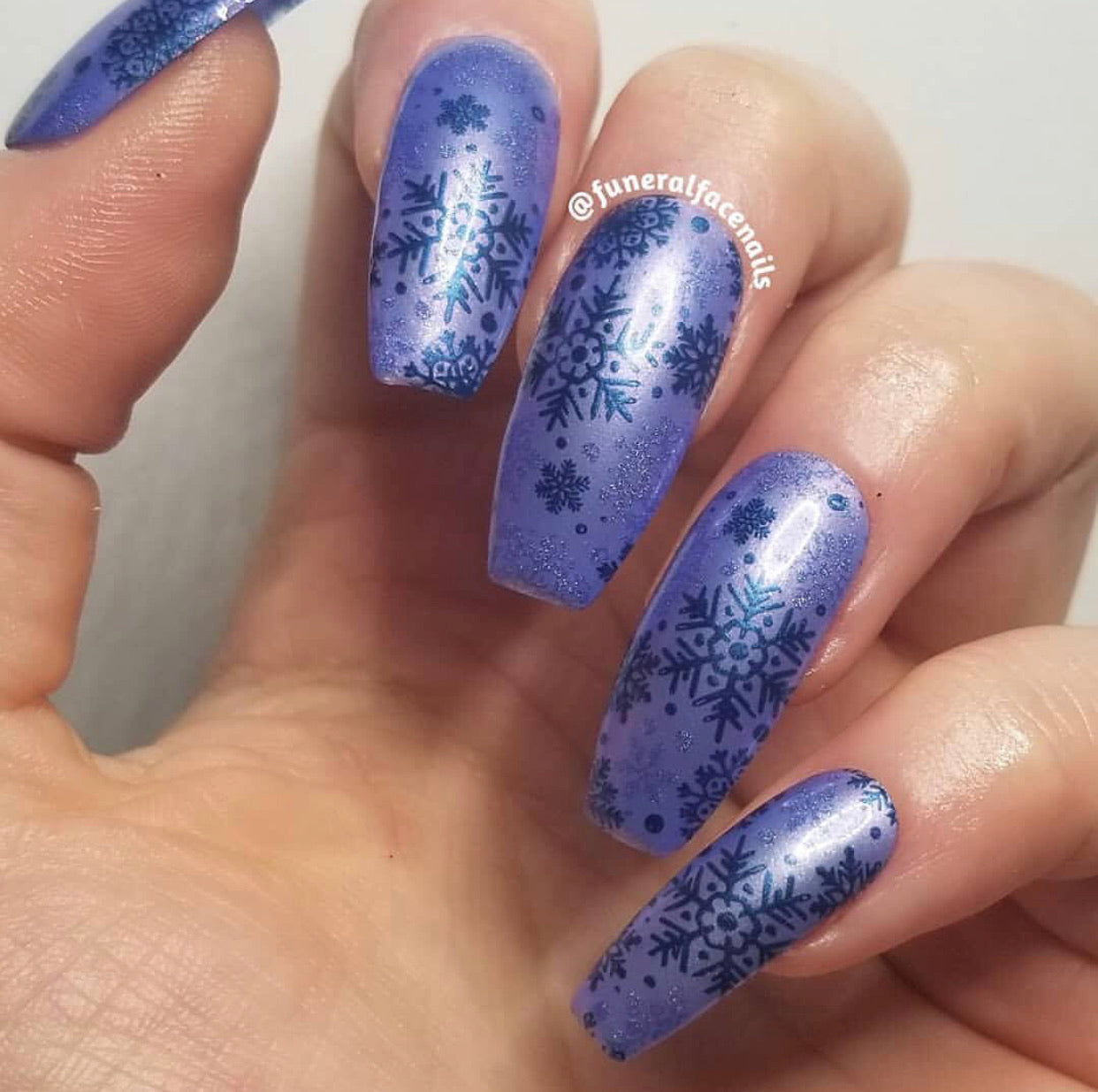 In the Frosty Air (CjS C-24) Steel Nail Art Stamping Plate 14 x 9 Clear Jelly Stamper