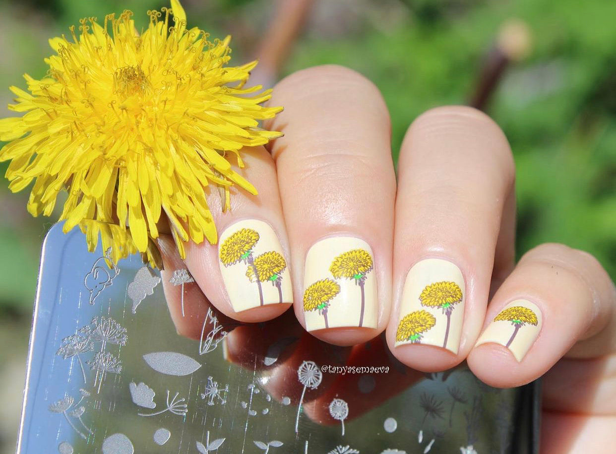 Feel Free (CjS-158) Steel Stamping Plate 8 x 8 Clear Jelly Stamper