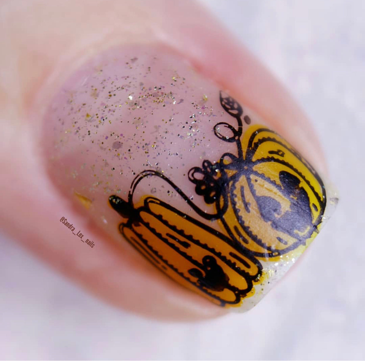 Trick or Creeping (CjSH-42) Steel Stamping Plate 14 x 9 Clear Jelly Stamper