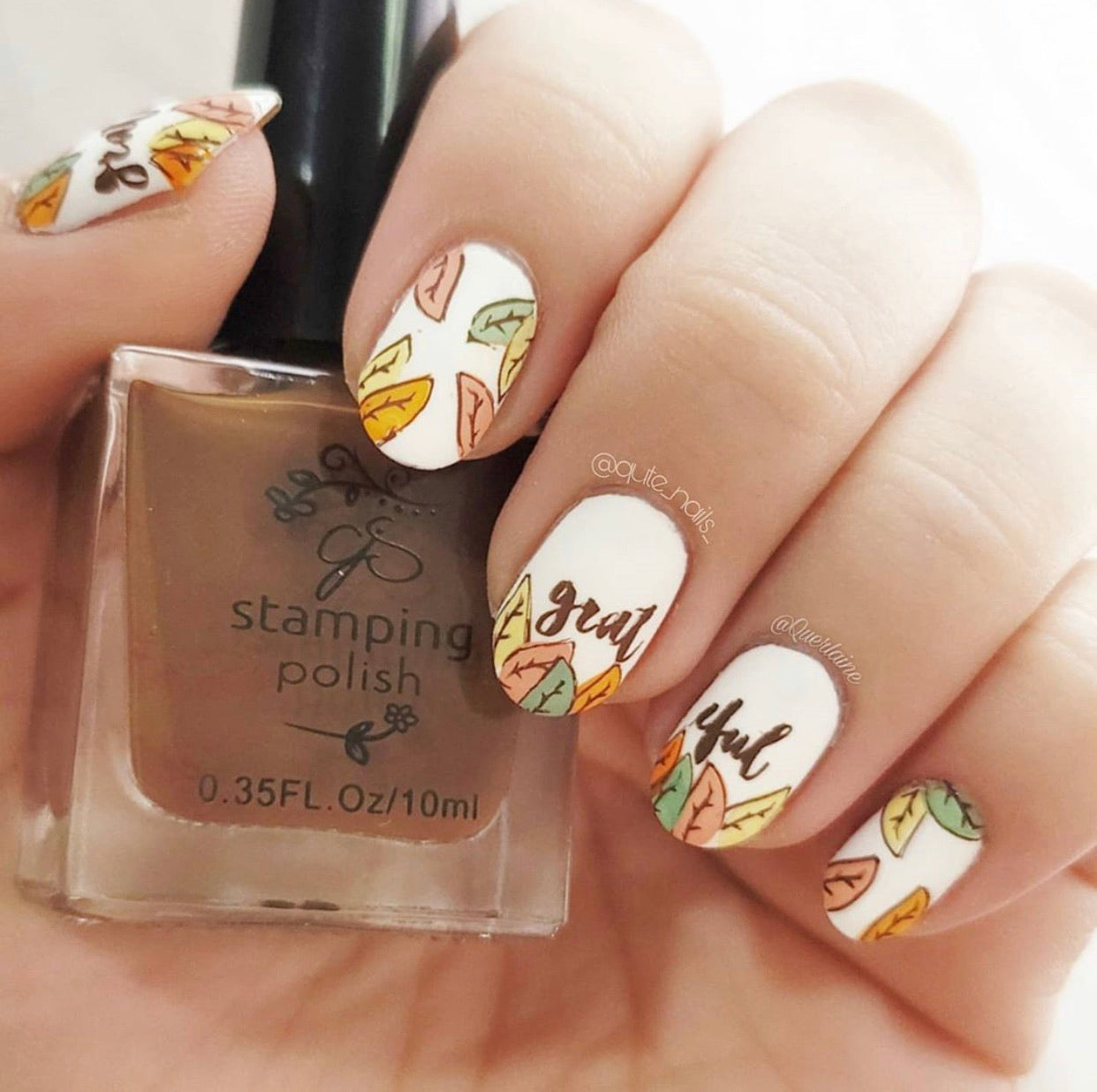 Give Thanks (CjS H-15) - Steel Stamping Plate 14 x 9 Clear Jelly Stamper