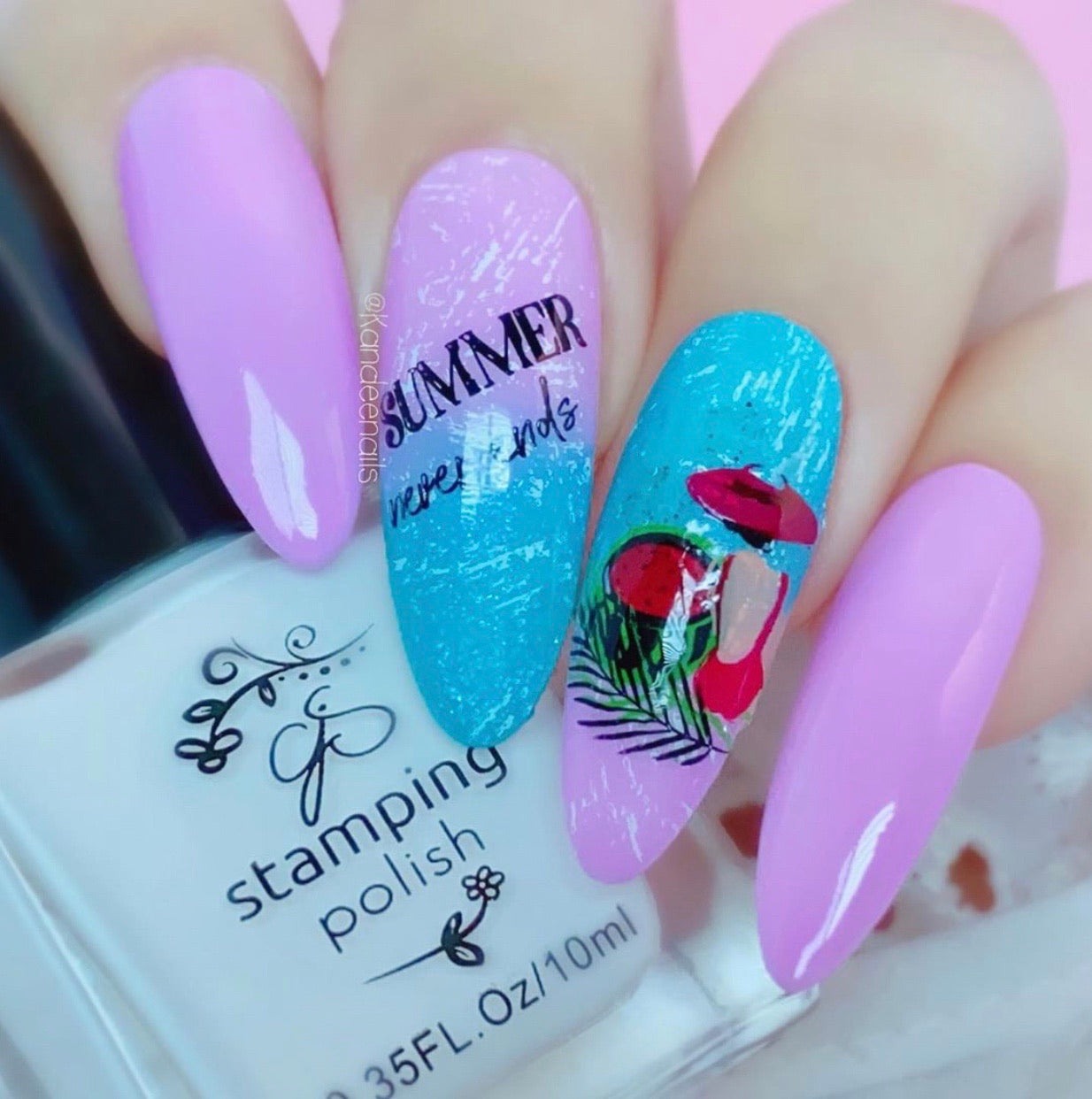 Summer Never Ends (CjS-165) Steel Stamping Plate 14 x 9 Clear Jelly Stamper