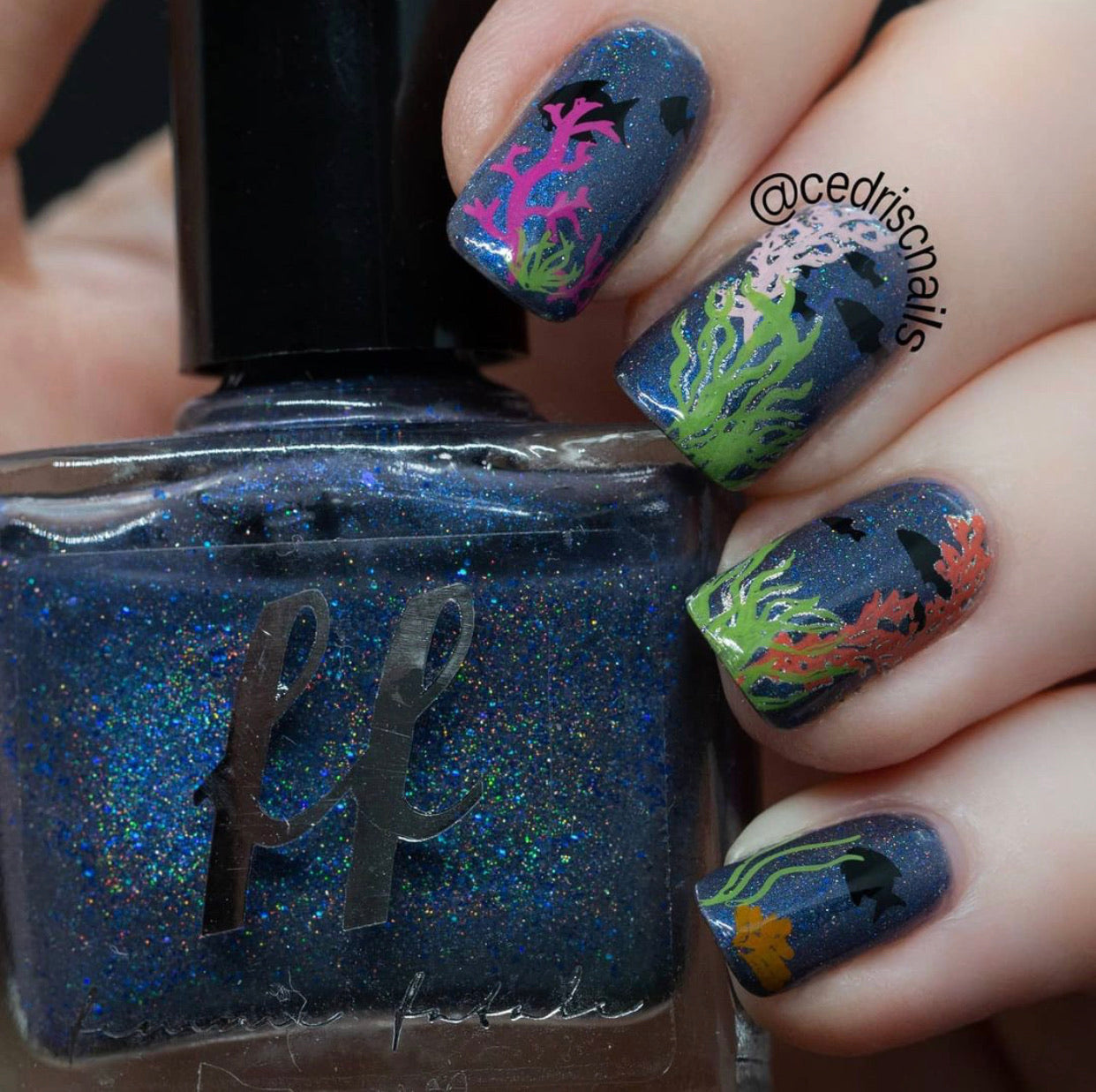 Suzie's Mermaid & Things (CjS LC-48 ) Steel Stamping Plate 14 x 9 Clear Jelly Stamper