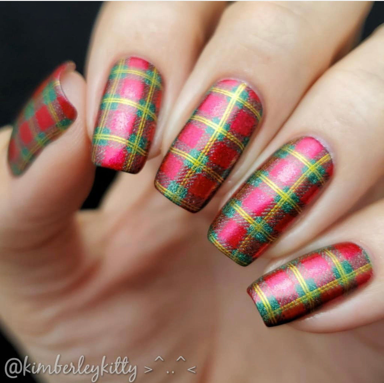 Pick of the Patch (CjS LC-56) Steel Stamping Plate 14 x 9 Clear Jelly Stamper