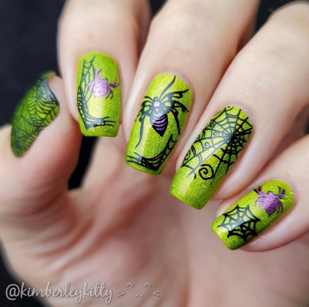 Gurly Swirly Halloween (CjS H-25) Steel Stamping Plate 14 x 9 Clear Jelly Stamper