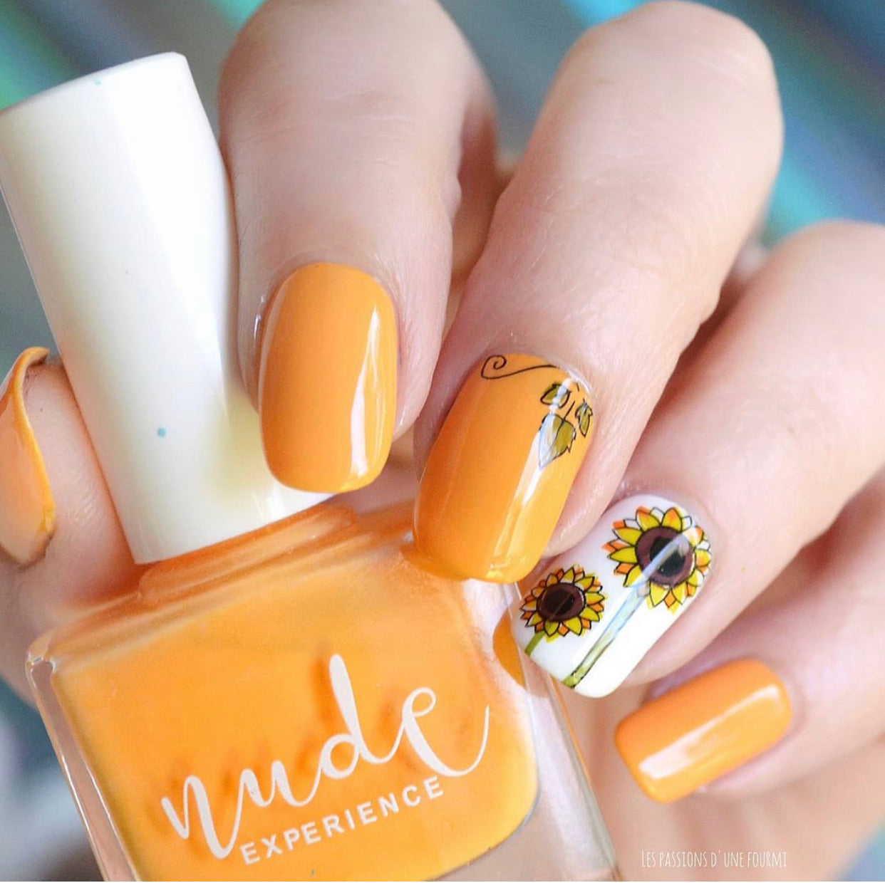 Pick of the Patch (CjS LC-56) Steel Stamping Plate 14 x 9 Clear Jelly Stamper