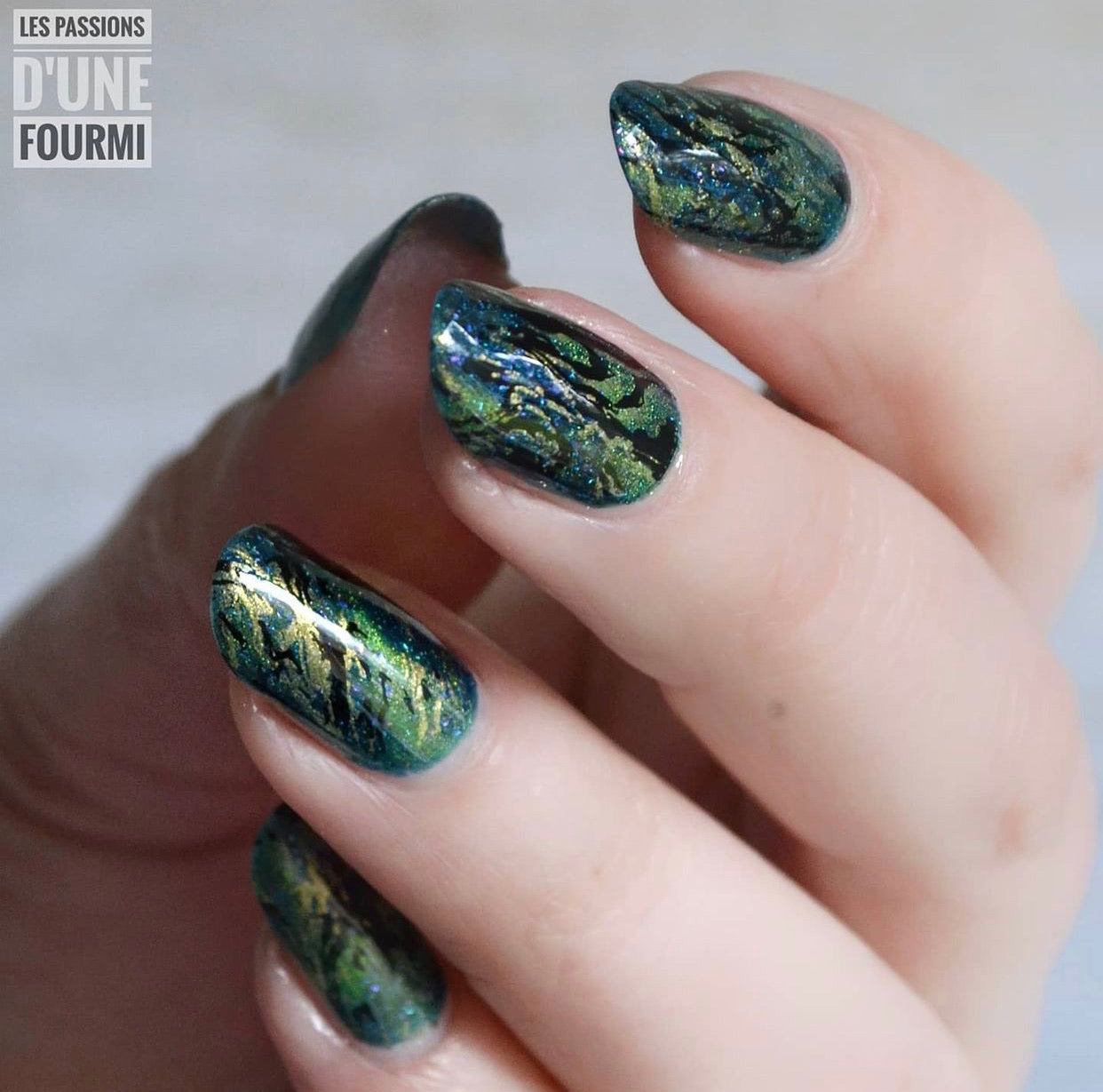 Texture Essentials - Urban (CjS-78) Steel Nail Art Stamping Plate 14 x 9 Clear Jelly Stamper