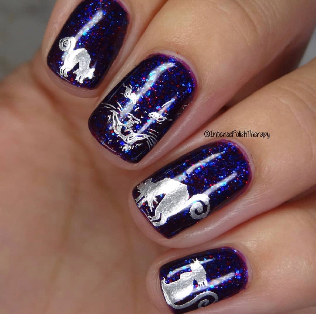 Be-Witched (CjSH-36) Steel Stamping Plate 14 x 9 Clear Jelly Stamper