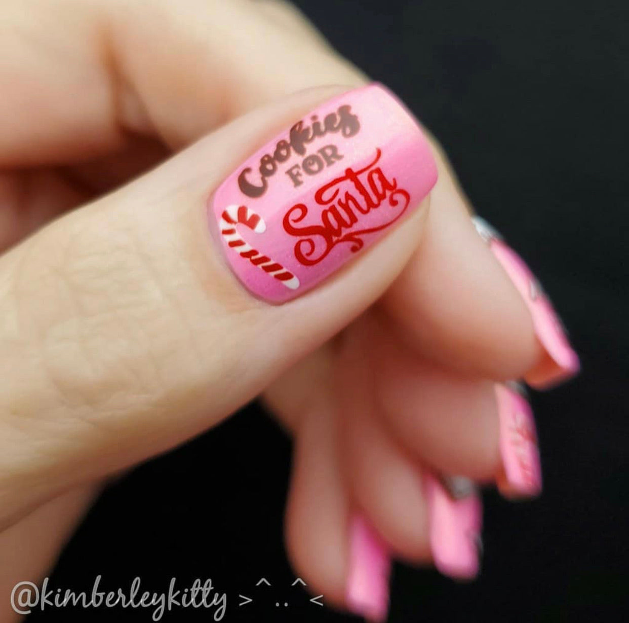 Mmm...Cookies! (CjS C-36) Steel Nail Art Stamping Plate 8 x 8 Clear Jelly Stamper