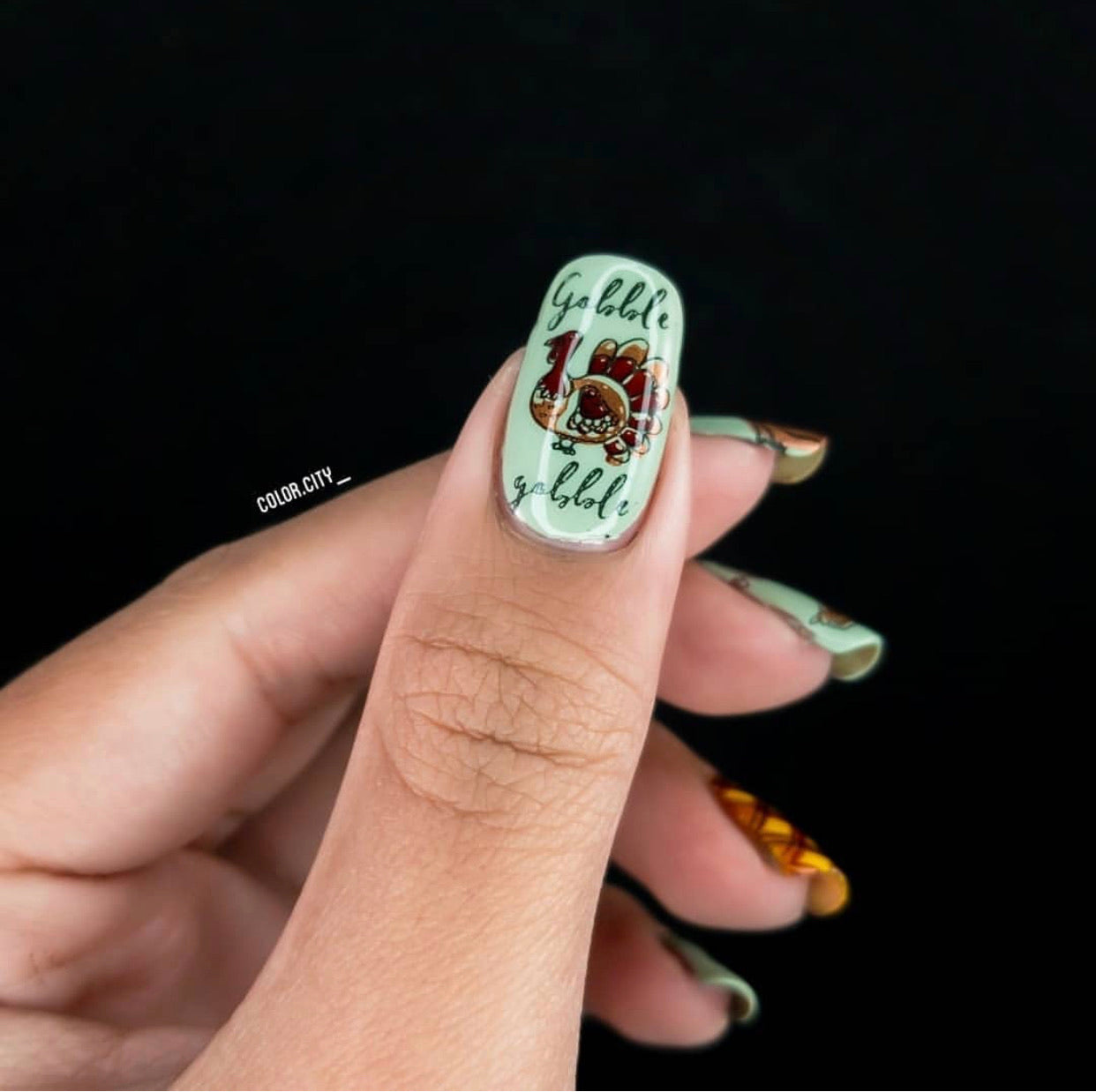 Give Thanks (CjS H-15) - Steel Stamping Plate 14 x 9 Clear Jelly Stamper