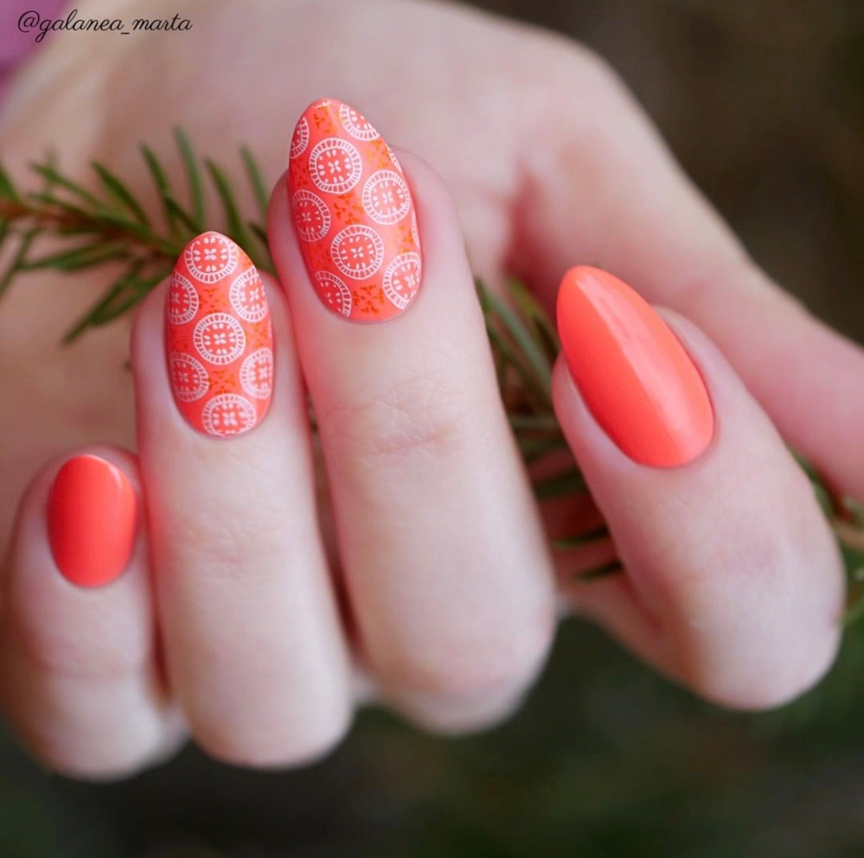 Textiles Series - 1 (CjS-185) Steel Stamping Plate 14 x 9 Clear Jelly Stamper