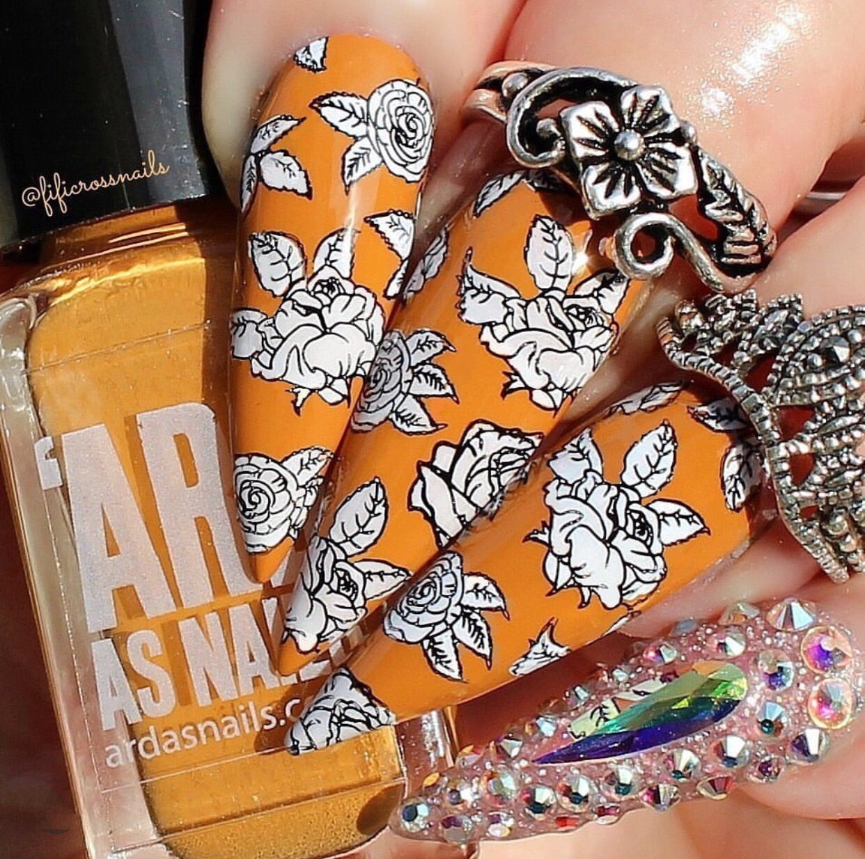 Painting the Roses Red (CjS-112) Steel Stamping Plate 6x6 Clear Jelly Stamper