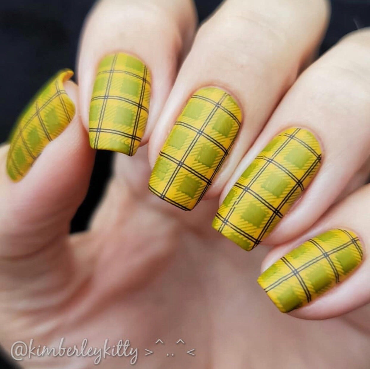 Pick of the Patch (CjS LC-56) Steel Stamping Plate 14 x 9 Clear Jelly Stamper