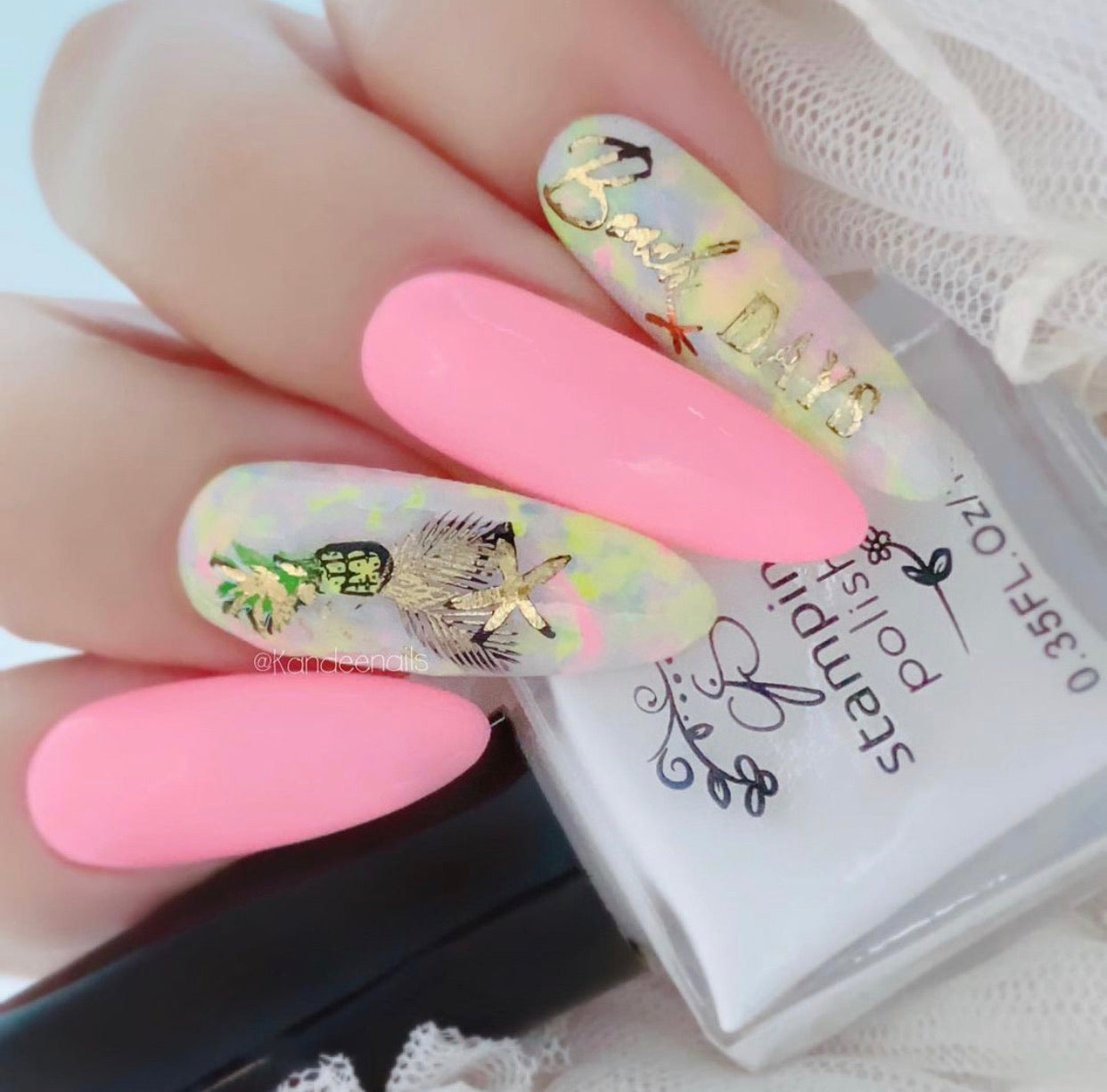 Summer Never Ends (CjS-165) Steel Stamping Plate 14 x 9 Clear Jelly Stamper