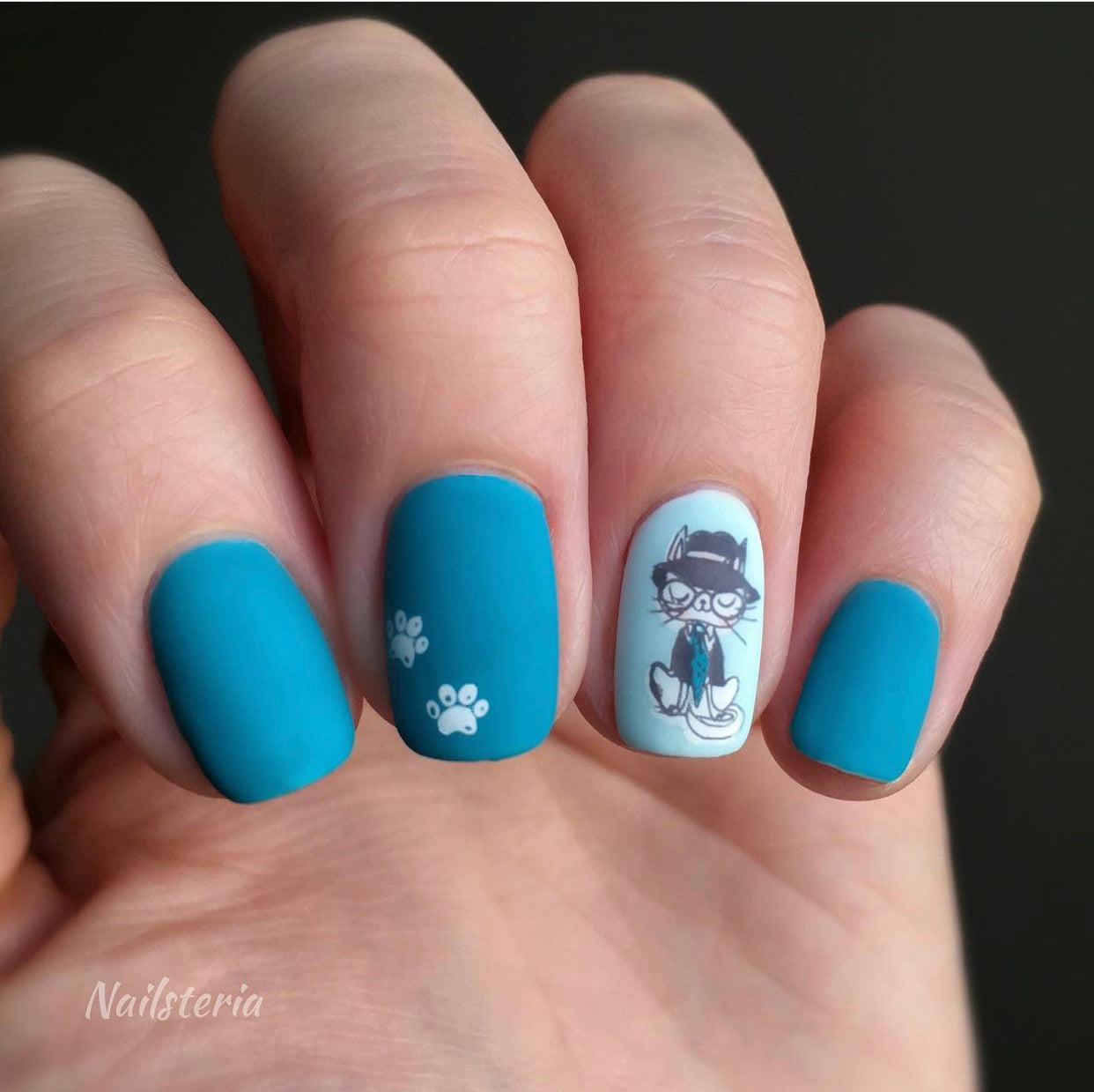 Purrr-fect! (CjSLC-75) Steel Stamping Plate 14 x 9 Clear Jelly Stamper