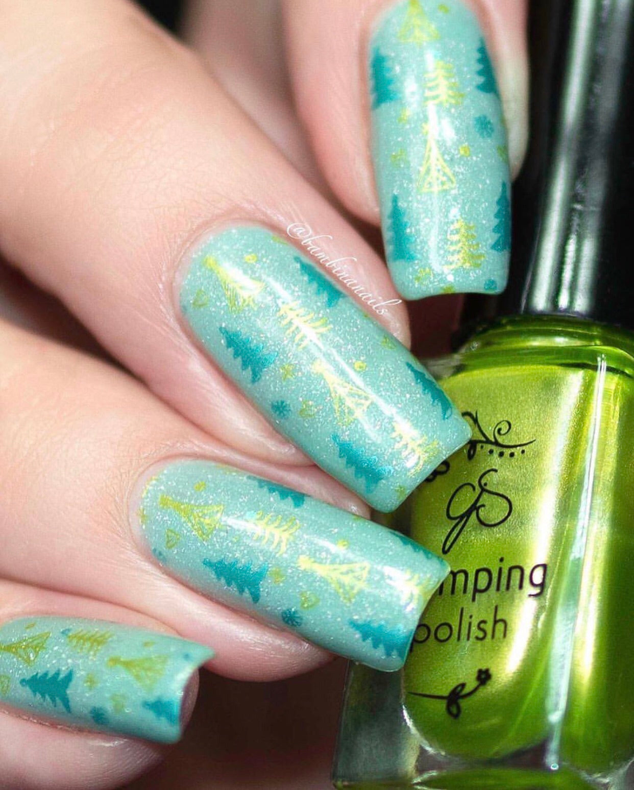 Pretty Paper - Classic (CjS C-25) Steel Nail Art Stamping Plate 14 x 9 Clear Jelly Stamper