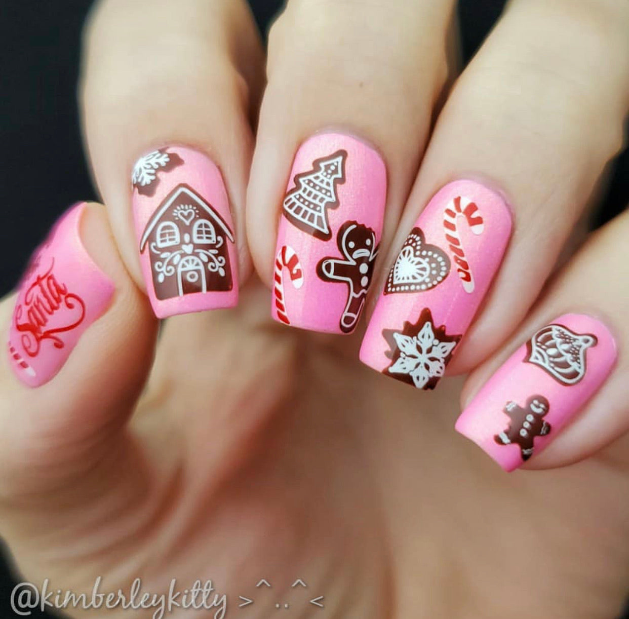 Mmm...Cookies! (CjS C-36) Steel Nail Art Stamping Plate 8 x 8 Clear Jelly Stamper