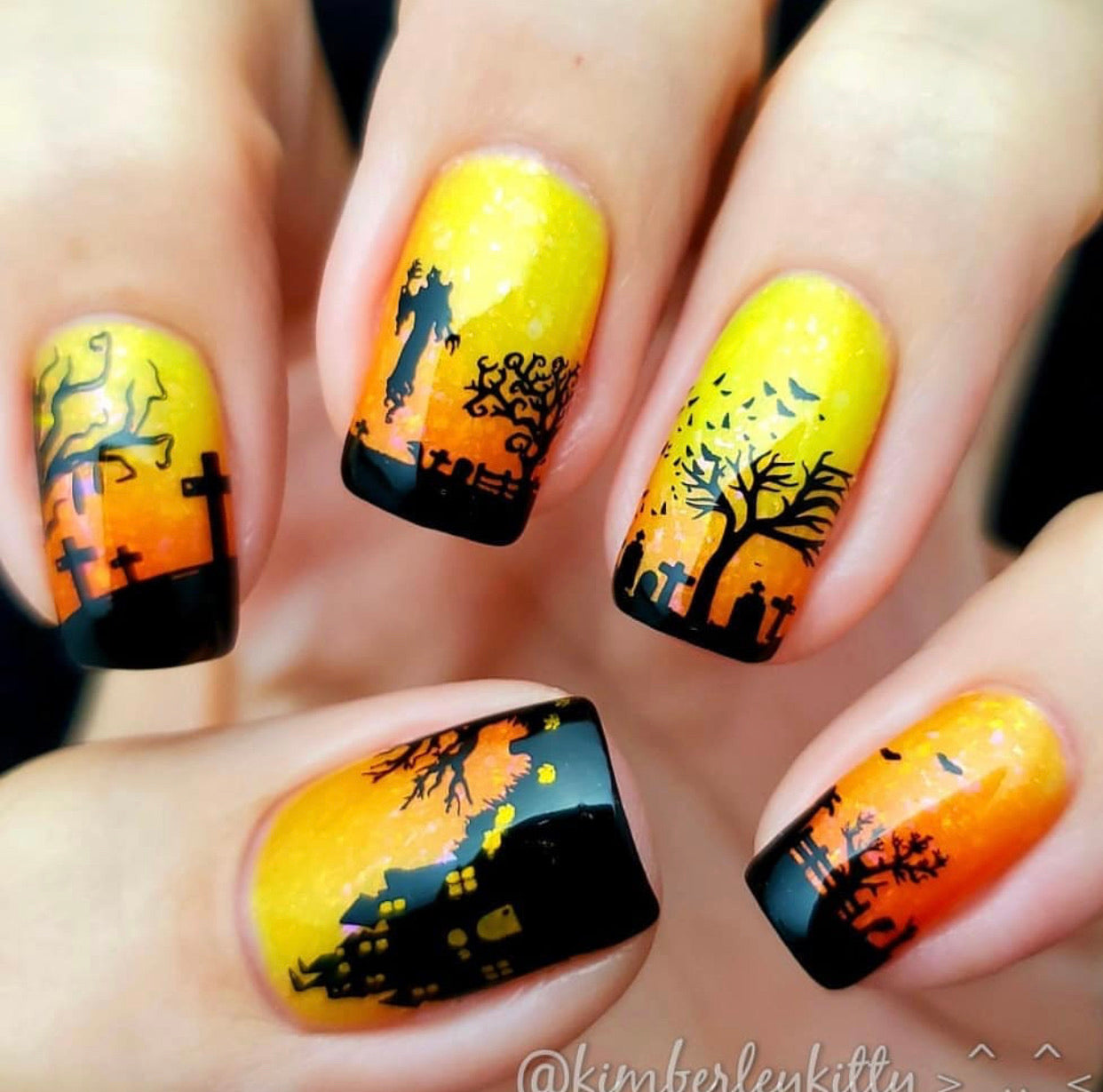 Creepy Hollow (CjSH-37) Steel Stamping Plate 14 x 9 Clear Jelly Stamper