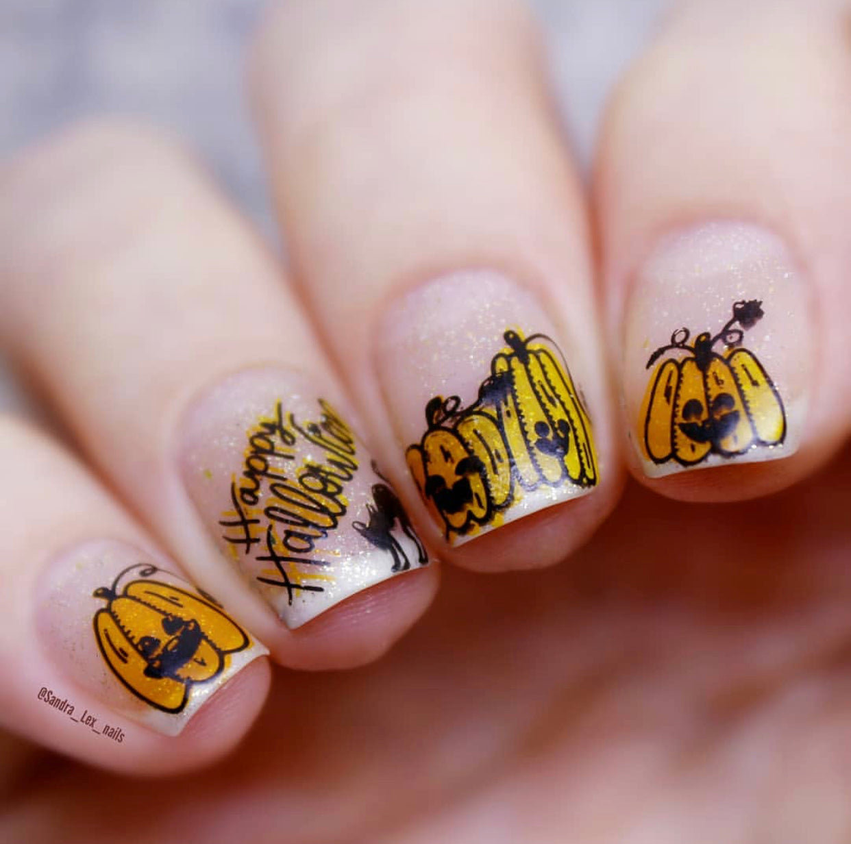 Trick or Creeping (CjSH-42) Steel Stamping Plate 14 x 9 Clear Jelly Stamper