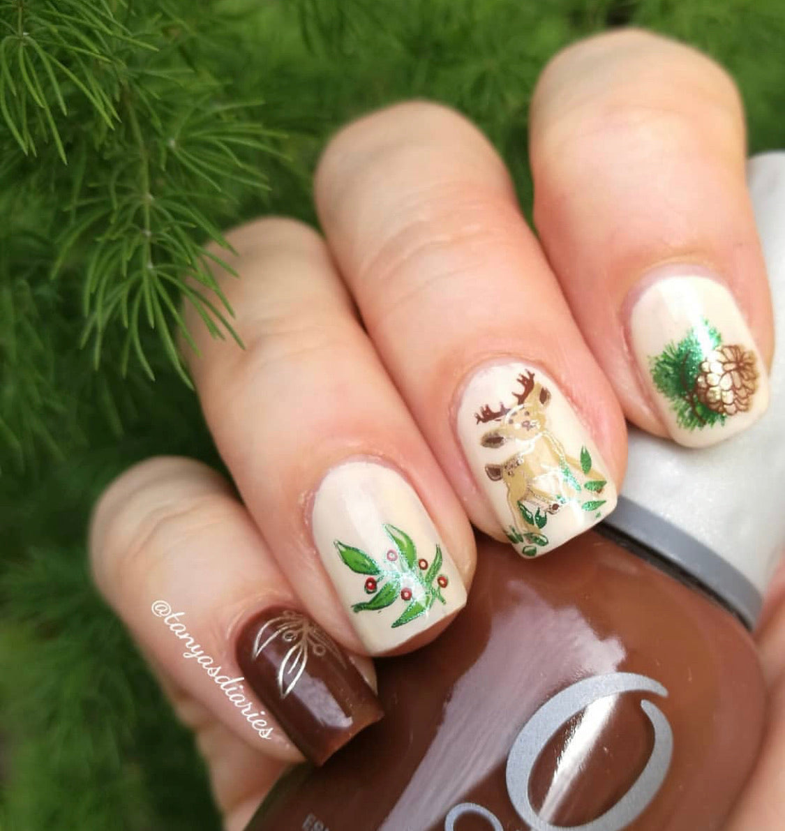 Merry Christmas My Deer (CjS C-19) Steel Nail Art Stamping Plate 14 x 9 Clear Jelly Stamper