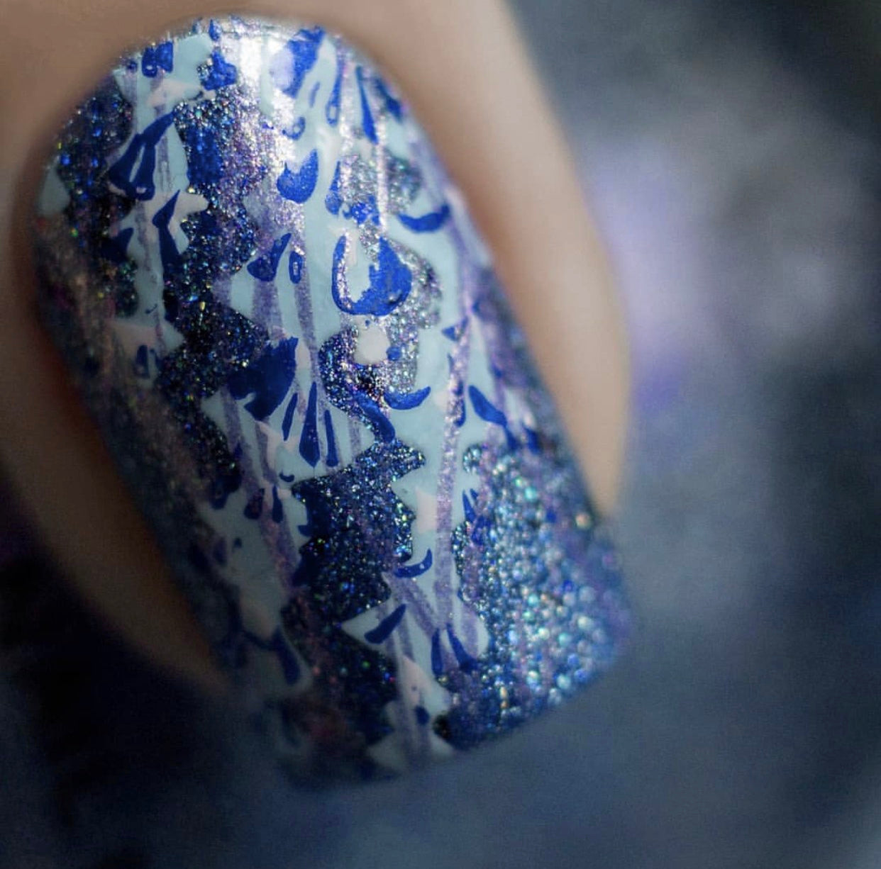 Blooming Sea (CjS-199) Steel Stamping Plate 8 x 8 Clear Jelly Stamper