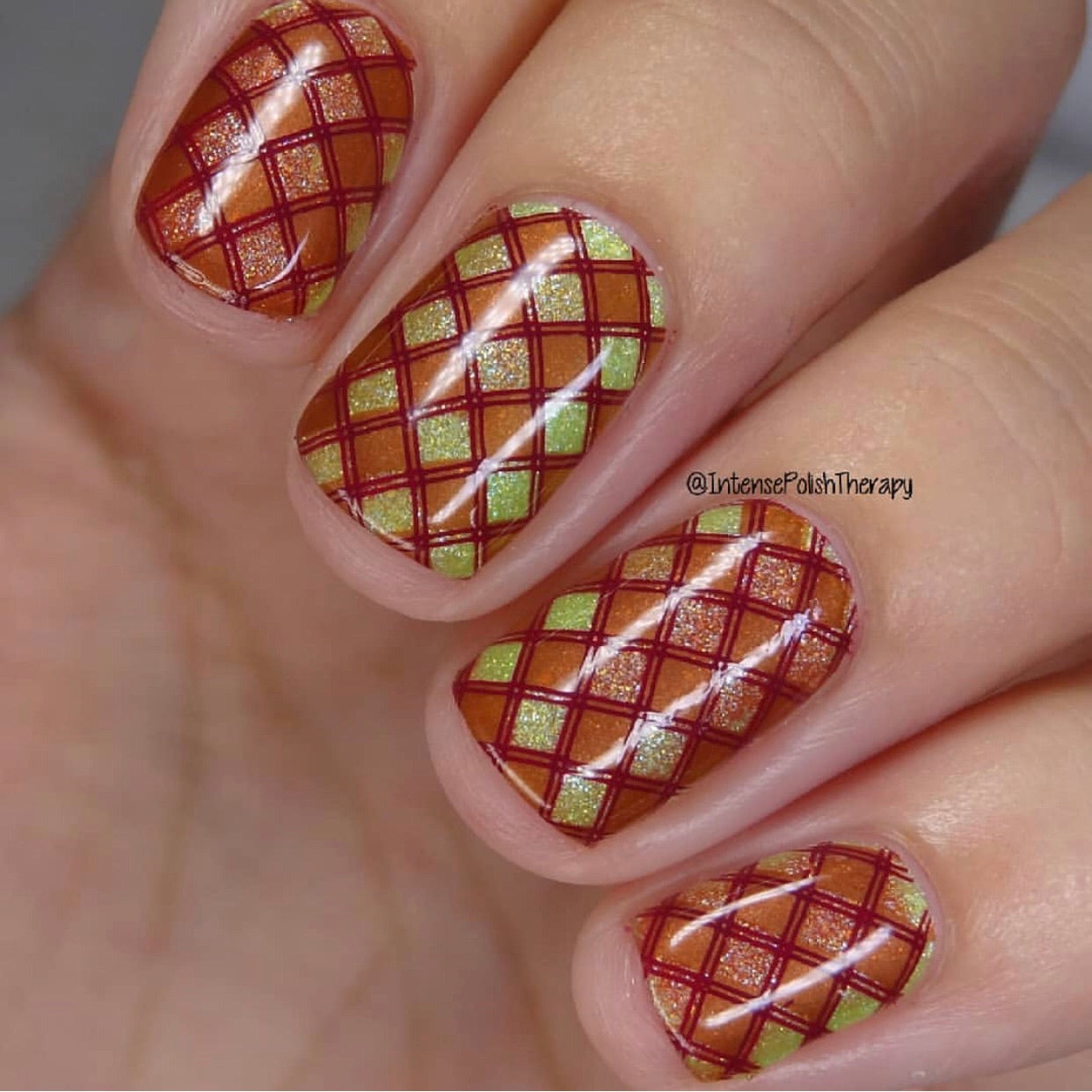 Pick of the Patch (CjS LC-56) Steel Stamping Plate 14 x 9 Clear Jelly Stamper