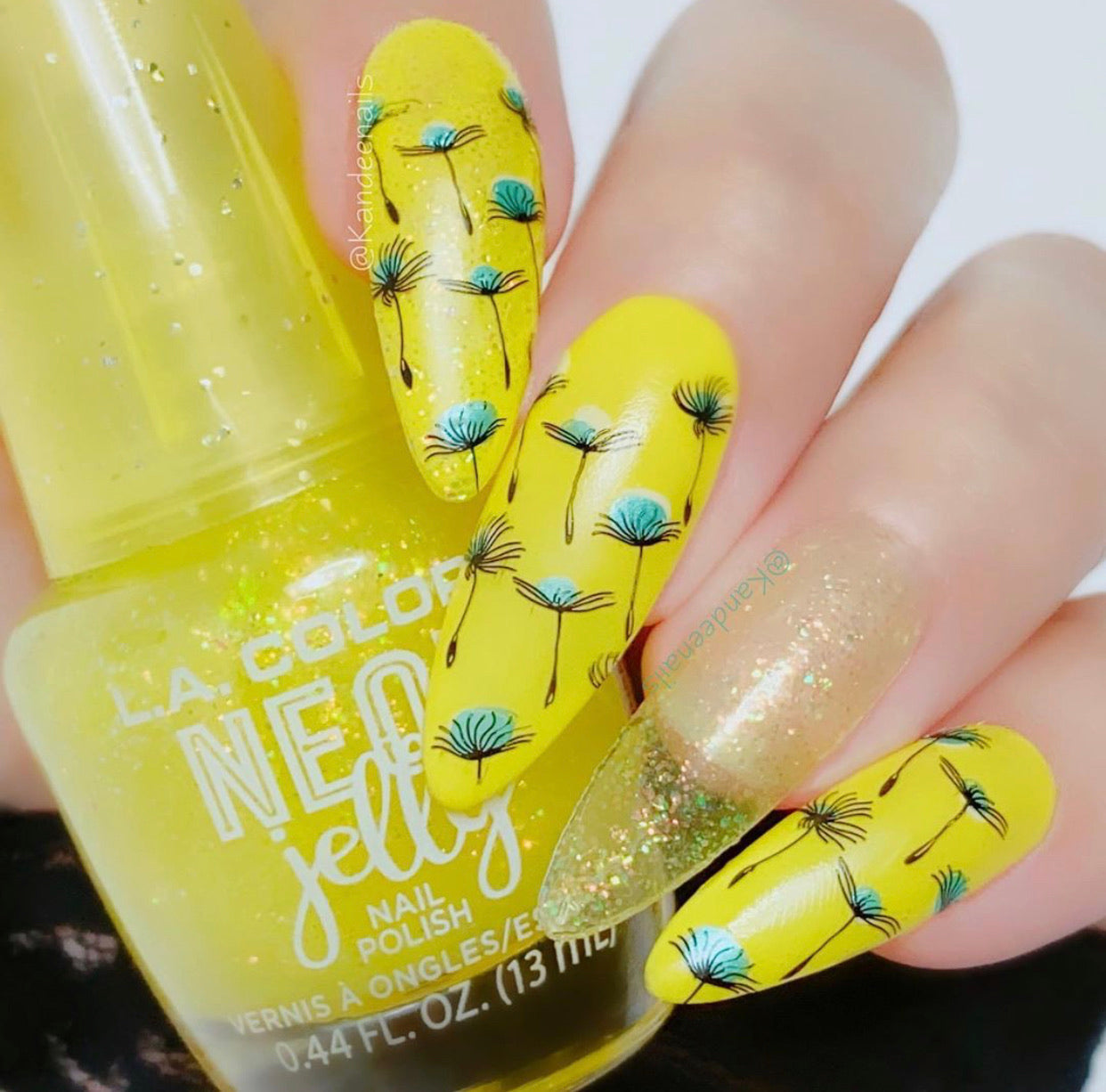 Feel Free (CjS-158) Steel Stamping Plate 8 x 8 Clear Jelly Stamper