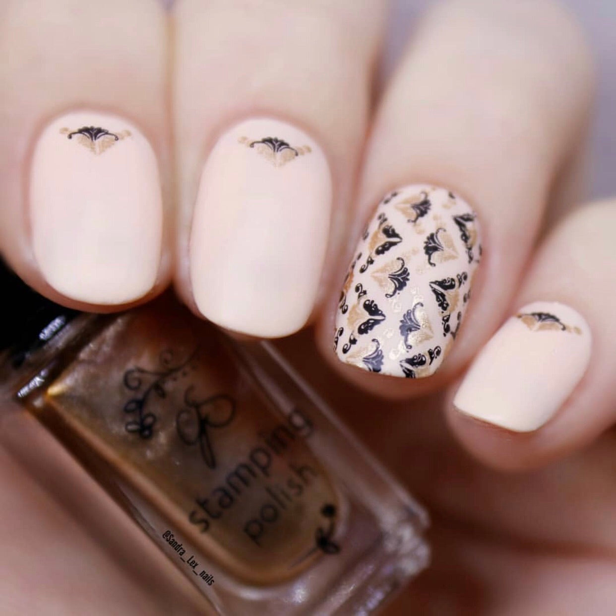 Chantel's Chevrons (CjS LC-36) Steel Stamping Plate 14 x 9 Clear Jelly Stamper