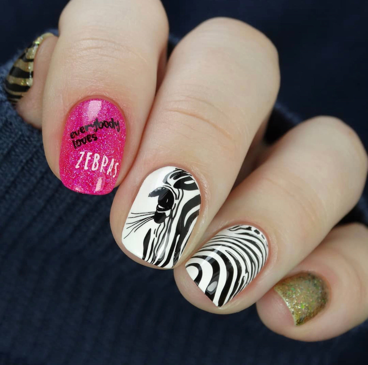 Wild Kingdom - Zebra (CjS-175) Steel Stamping Plate 14 x 9 Clear Jelly Stamper