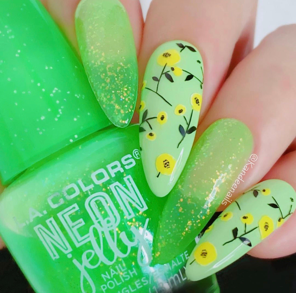 Feel Free (CjS-158) Steel Stamping Plate 8 x 8 Clear Jelly Stamper