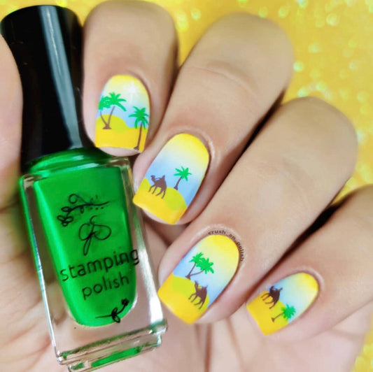 The Nativity (CjS C-20) Steel Nail Art Stamping Plate 14 x 9 Clear Jelly Stamper