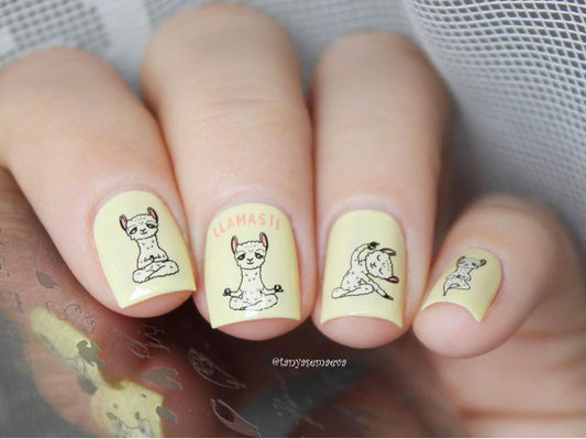 Llamaste (CjS-187) Steel Stamping Plate 8 x 8 Clear Jelly Stamper