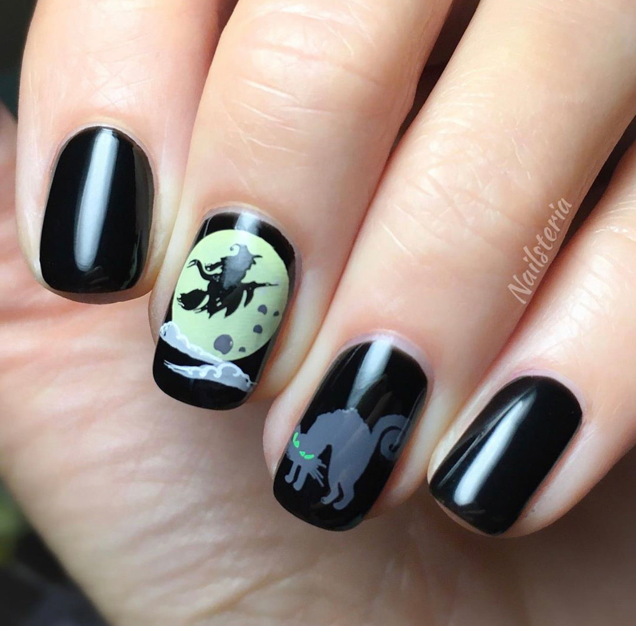 Be-Witched (CjSH-36) Steel Stamping Plate 14 x 9 Clear Jelly Stamper