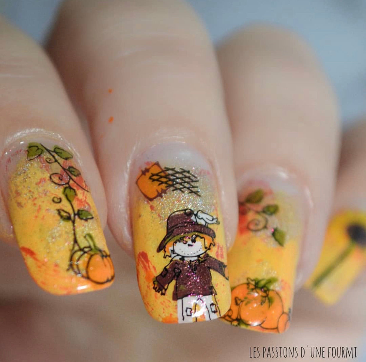 Pick of the Patch (CjS LC-56) Steel Stamping Plate 14 x 9 Clear Jelly Stamper