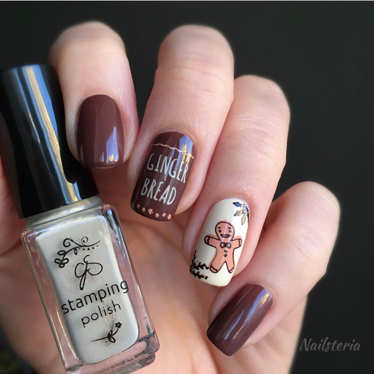 Mmm...Cookies! (CjS C-36) Steel Nail Art Stamping Plate 8 x 8 Clear Jelly Stamper