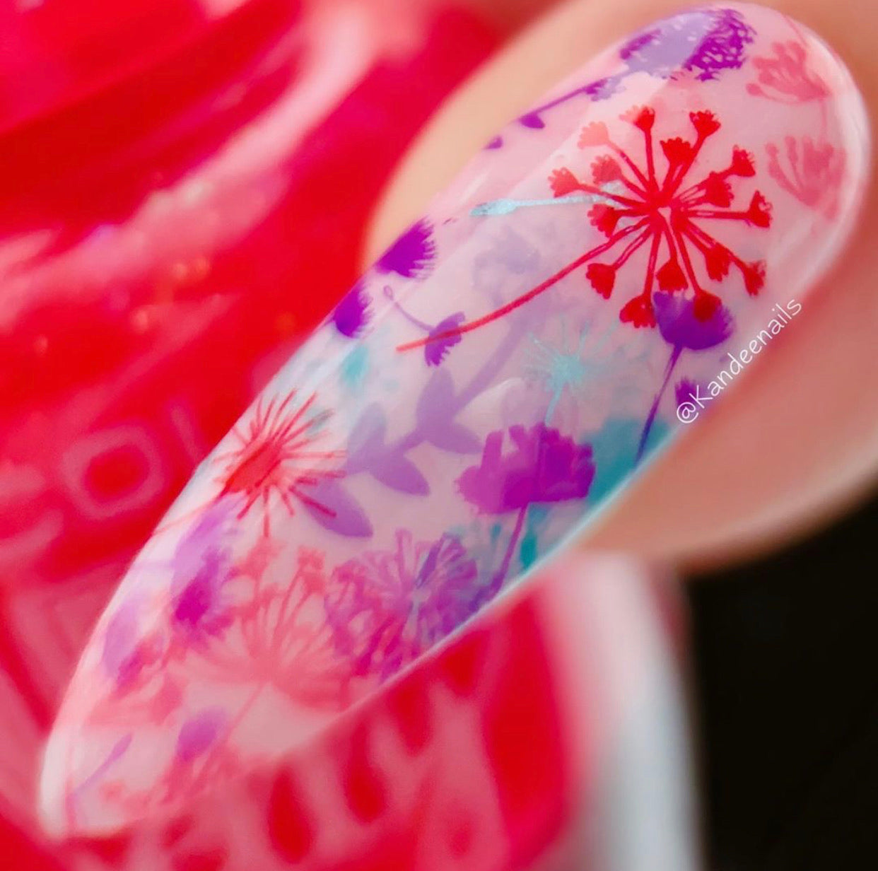 Feel Free (CjS-158) Steel Stamping Plate 8 x 8 Clear Jelly Stamper