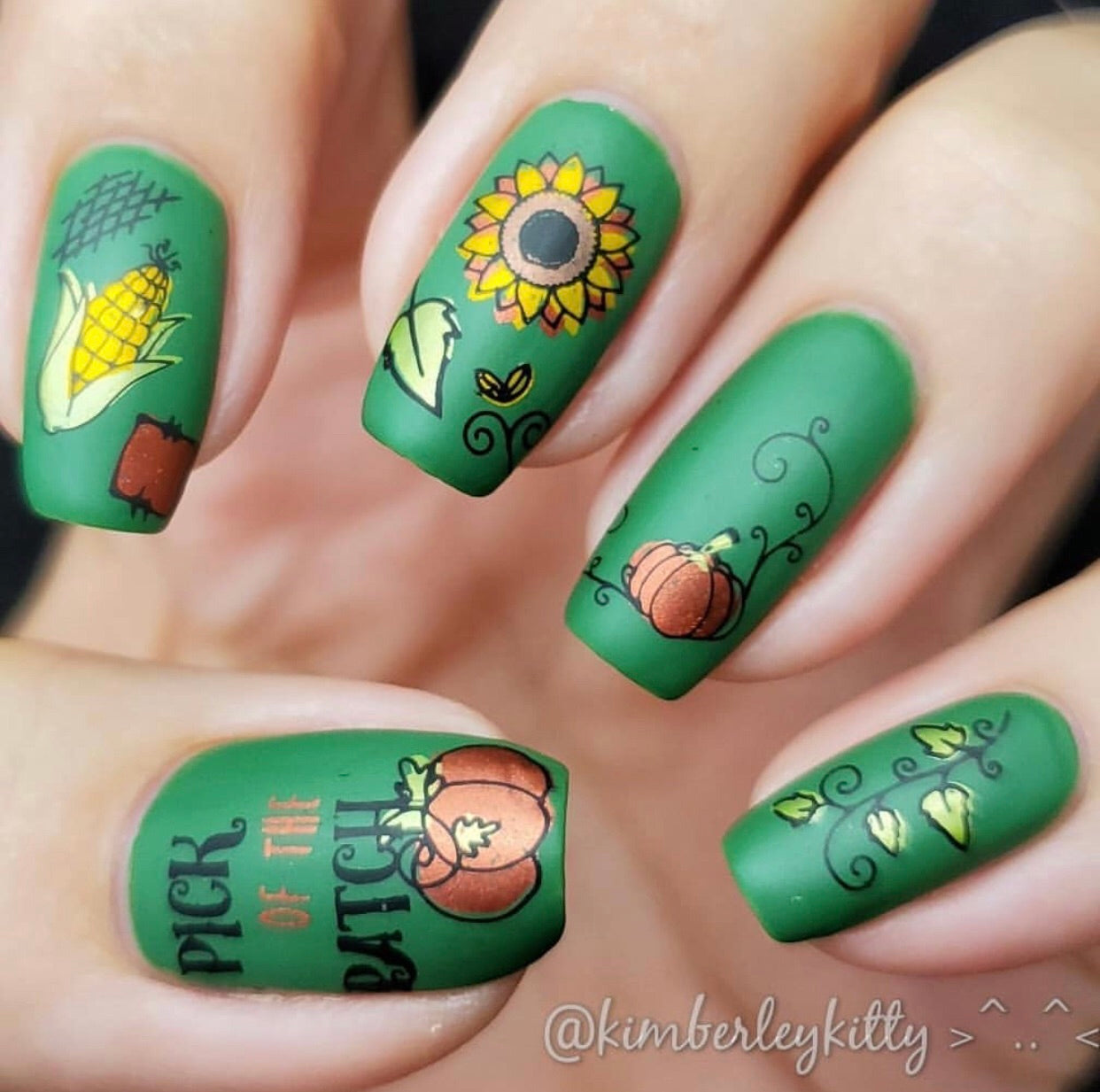 Pick of the Patch (CjS LC-56) Steel Stamping Plate 14 x 9 Clear Jelly Stamper