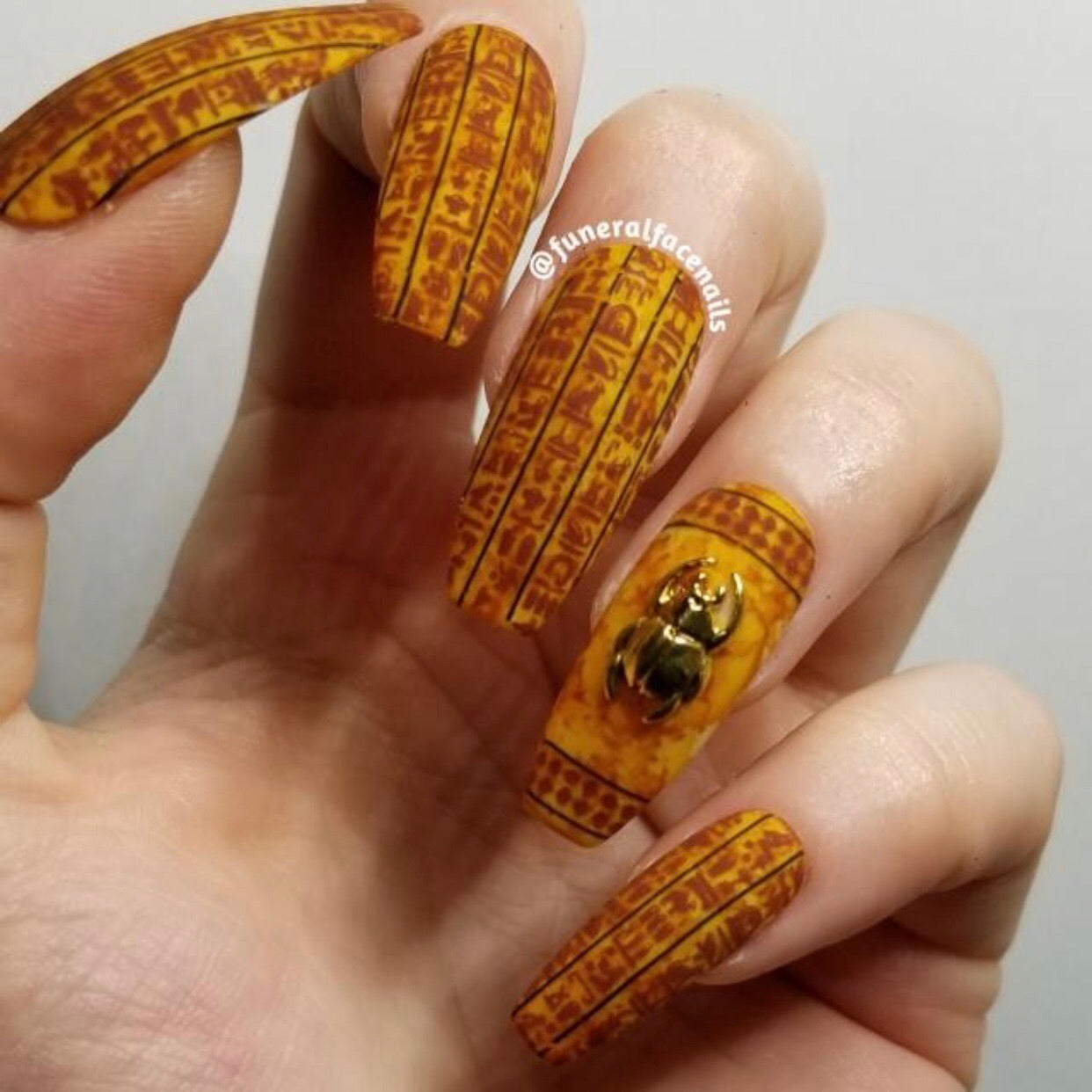 Jewels of Egypt (CjS LC-33) Steel Stamping Plate 14 x 9 Clear Jelly Stamper